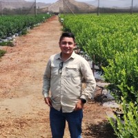 Alejandro Martin Garay Salazar