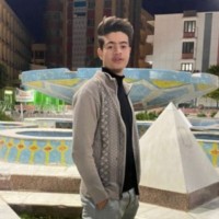 Dahy Mansour Al-Sayed