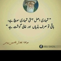 Areeba Noor