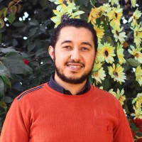 Mahmoud Hamed Moustafa ,PMP®