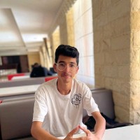 Amine Nasser