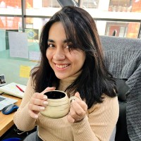 Syeda Afrida Nawal