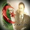 Amine Midou