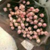 Rihab Abd Alazeez