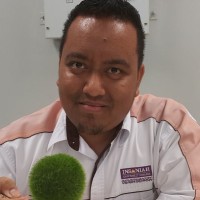Zulhilmi Ahmad