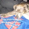 Tousha Maggard