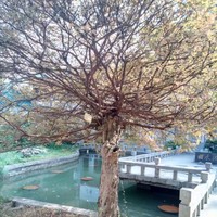 温德荣