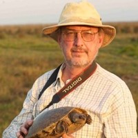 Anders G.J. Rhodin, MD