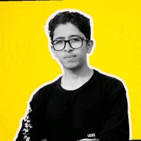 Syed Faizan Ali