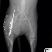 Robb Jones