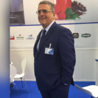 Tucci P.I. Domenico
