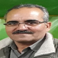 mahmoud alimohammadi