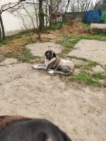 Salvador Senyer Roma