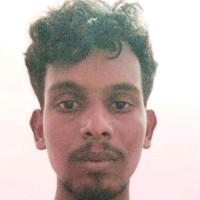 N. Mubarak