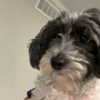 Daisy Baez