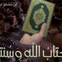 Mohamed Hammam