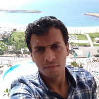 Mohamed Abdelhady