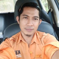Helmi -