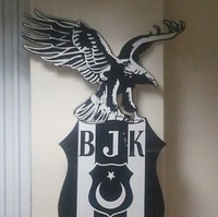 Alper Arıcı