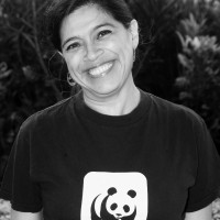 Lilian Márquez