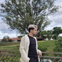 Pedro Henrique Ribeiro