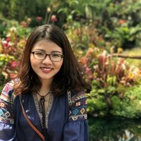 An Phung