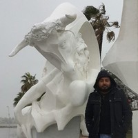 Mahmoud Zenhom