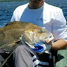 Fishing Treatment Undefined