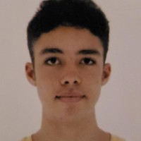 Artur Afonso Pimentel Guimaraes