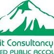 Summit Consultancy Group