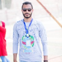 Moustafa Elfeqy