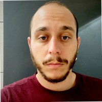 Vinicius Tadeu Lopes Dos Reis