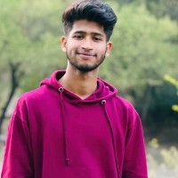 Arif Ameer Hussain