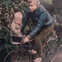 Sander van Rijnsoever