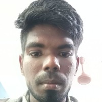 PRADAP P