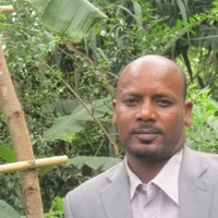 Dimtsu Abraha
