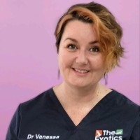 Vanessa Harkess