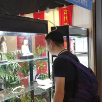田树明