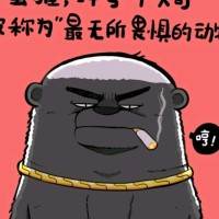 刘新磊