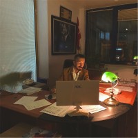 Ali Erman