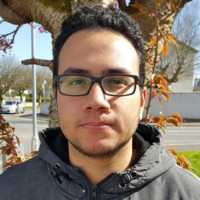 Mohamed Moustafa