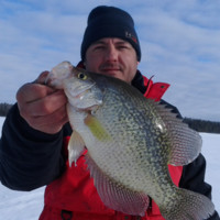 Darin Osier