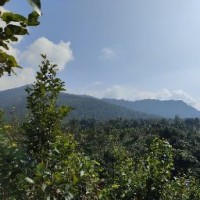 Hir Kumar