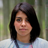 Sarai Peregrina