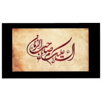 Syeda Amna Raza Naqvi