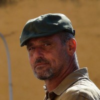 Daniele Cerrai