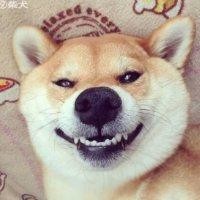 邹大成