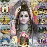Ravi Sangam
