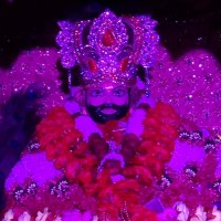 Senjal Kashwar