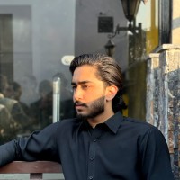 Hamza Anwer